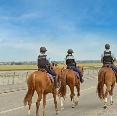 Quatre policiers à cheval en uniforme montent sur des chevaux bruns sur une route goudronnée. La scène se déroule devant un vaste champ et un ciel bleu éclatant.