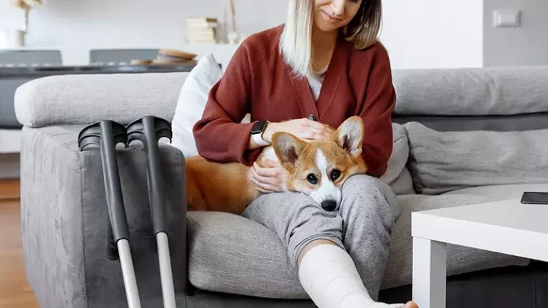 Une femme avec une jambe plâtrée est assise sur un canapé gris, caressant un corgi sur ses genoux. Des béquilles reposent à proximité. L'atmosphère est chaleureuse et réconfortante.